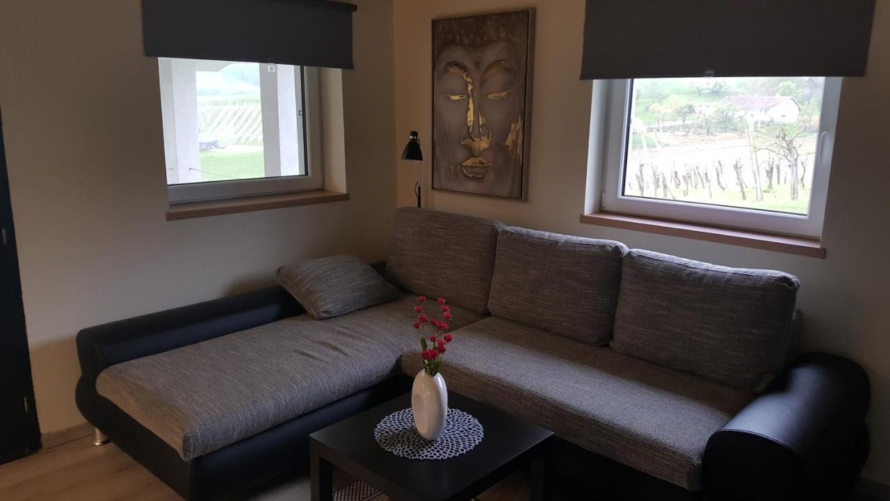 Vila Na Off Radenci Exteriér fotografie