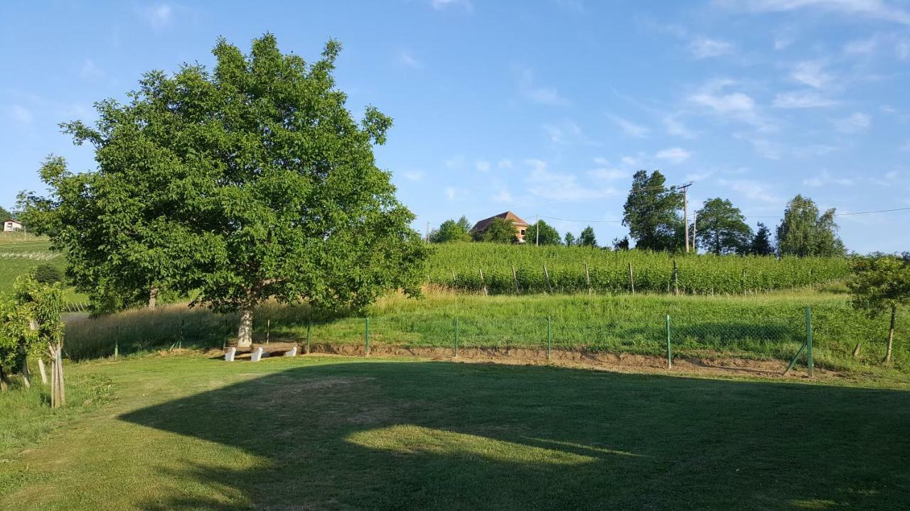 Vila Na Off Radenci Exteriér fotografie